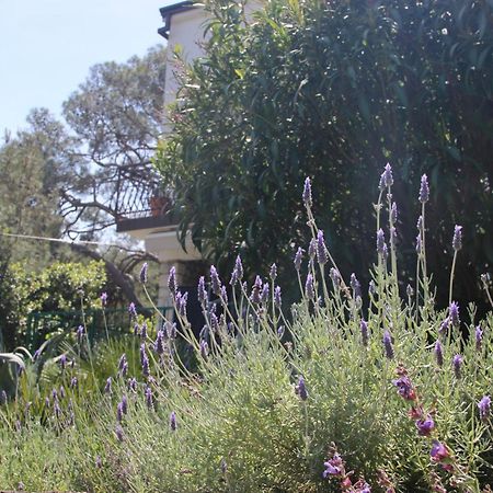Cappelli Apartments - Losinj Mali Lošinj Eksteriør billede